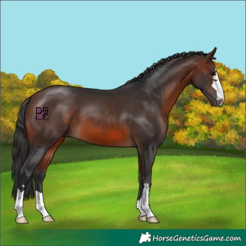 Horse Color:Bay Mushroom 