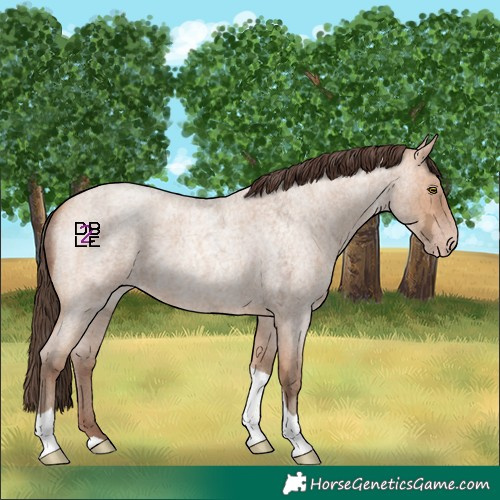 Horse Color:Amber Champagne Ice Roan Tobiano 