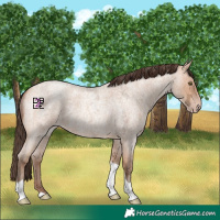 Horse Color:Amber Champagne Ice Roan Tobiano 