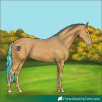 Horse Color:Painted Watercolor Silver Amber Cream Champagne