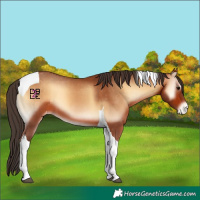 Horse Color:Bay Onyx Tobiano Varnish