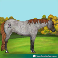 Horse Color:Midnight Red Onyx Ice Roan Rabicano 