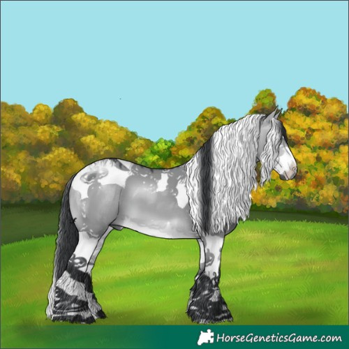 Horse Color:Bay Chinchilla Dun Splash Tobiano 