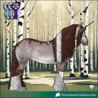 Horse Color:Gray Platinum Chocolate Brown Dun Tobiano