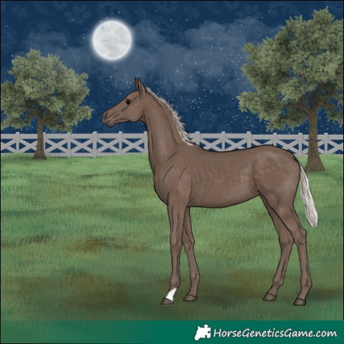 Horse Color:Silver Black 