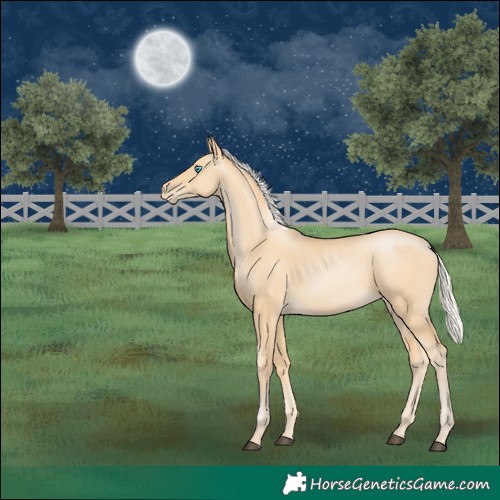 Horse Color:Silver Smoky Black Pearl 