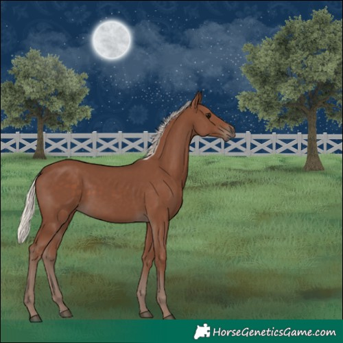 Horse Color:Silver Black 