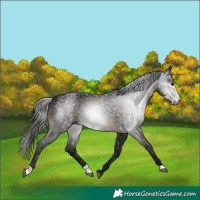 Horse Color:Gray Brown Frame 