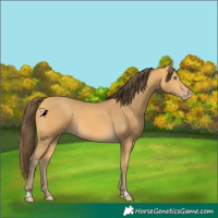 Horse Color:Amber Cream Champagne 