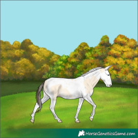 Horse Color:Amber Cream Champagne Dun Splash Tobiano 