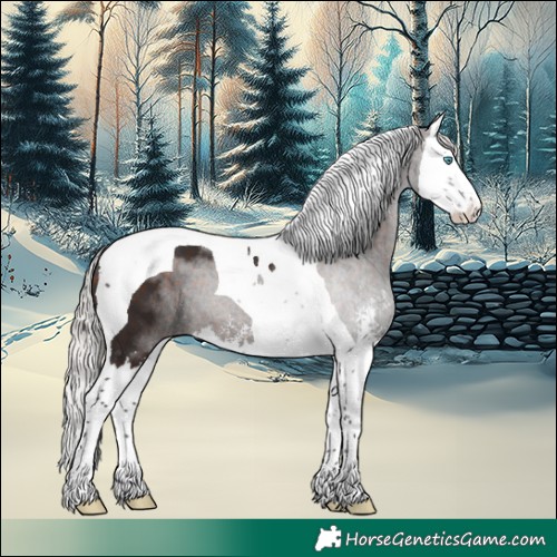 Horse Color:Silver Brown Sabino Splash Tobiano 