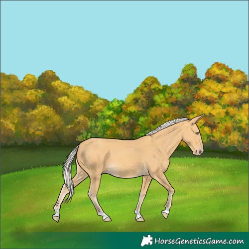 Horse Color:Silver Amber Cream Champagne 