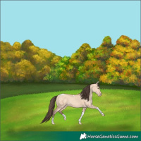 Horse Color:Amber Champagne Dun Tobiano 