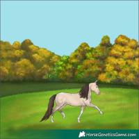 Horse Color:Amber Champagne Dun Tobiano