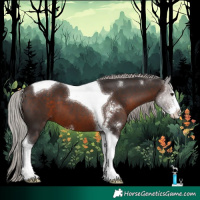 Horse Color:Silver Brown Sabino Tobiano