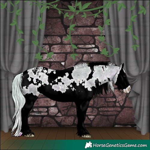 Horse Color:Watercolor White Spotted Silver Bay Ice Splash Appaloosa 