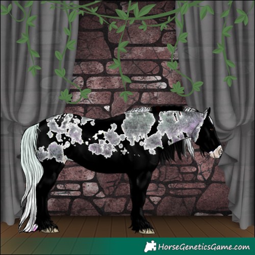 Horse Color:Watercolor White Spotted Silver Bay Ice Splash Appaloosa 