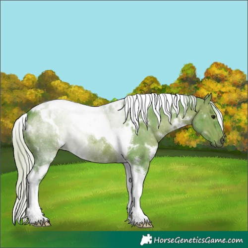 Horse Color:Watercolor White Spotted Silver Brown Tobiano 