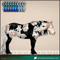 Horse Color:White Spotted Silver Classic Champagne Ice Tobiano