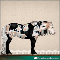 Horse Color:White Spotted Silver Classic Champagne Ice Tobiano 
