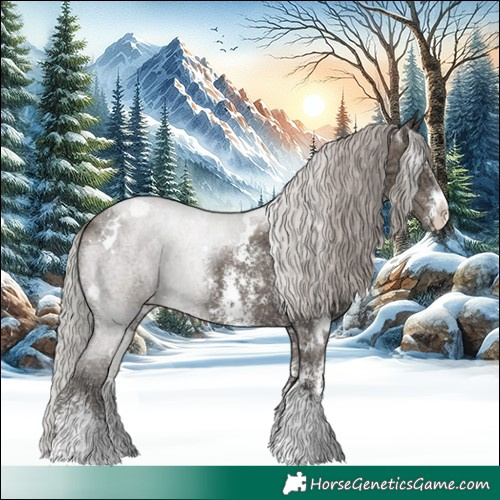 Horse Color:White Spotted Silver Grullo Ice Sabino 