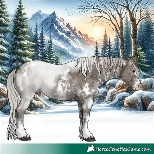Horse Color:White Spotted Silver Grullo Ice Sabino 
