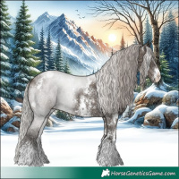 Horse Color:White Spotted Silver Grullo Ice Sabino 