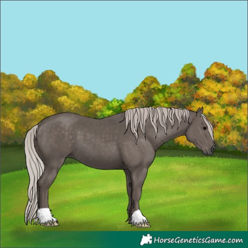 Horse Color:Silver Black 