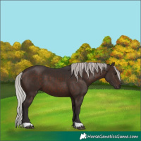 Horse Color:Silver Brown 