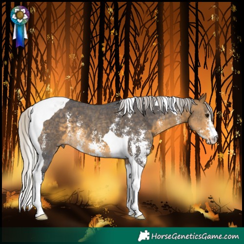 Horse Color:Silver Buckskin Sabino Tobiano 