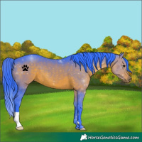 Horse Color:Watercolor Brown 