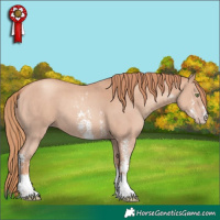 Horse Color:Gold Champagne Sabino