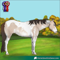 Horse Color:Sable Champagne Dun Sabino Tobiano 
