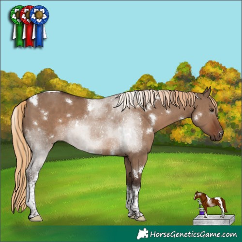 Horse Color:White Spotted Liver Red Dun Tobiano 