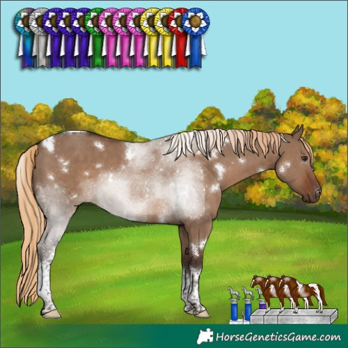 Horse Color:White Spotted Liver Red Dun Tobiano 