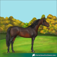 Horse Color:Brown 