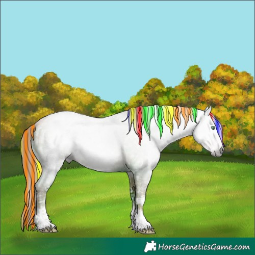 Horse Color:Gray Painted White Spotted Gold Champagne Ice Rabicano 