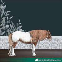 Horse Color:Red Onyx Sabino Splash Tobiano Snowcap 