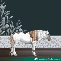 Horse Color:Liver Chestnut Sabino Splash Frame Varnish 