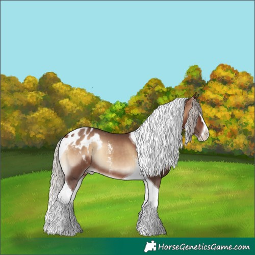 Horse Color:Silver Brown Onyx Sabino Splash Tobiano Appaloosa 