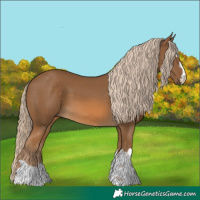 Horse Color:Chocolate Palomino 
