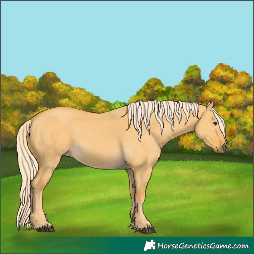 Horse Color:Palomino Dun 