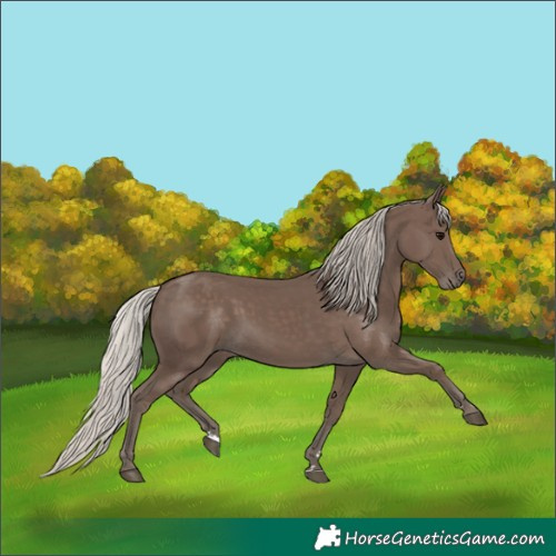 Horse Color:Silver Black 