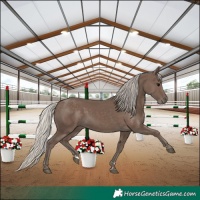 Horse Color:Silver Black 