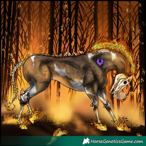 Horse Color:Buckskin Tobiano 