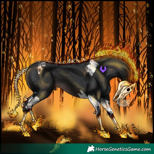 Horse Color:Brown Tobiano 