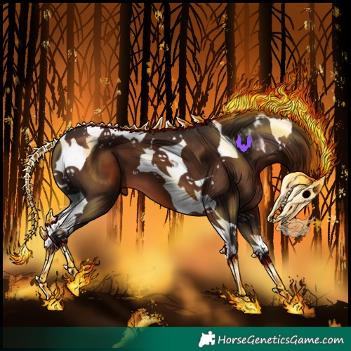 Horse Color:Liver Chestnut Tobiano 