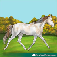 Horse Color:White Spotted Smoky Blue Onyx Ice Pearl Tobiano