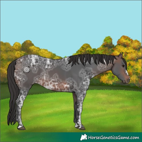 Horse Color:Brown Ice 