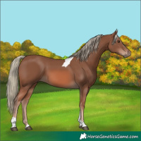 Horse Color:Chestnut Mushroom Tobiano 